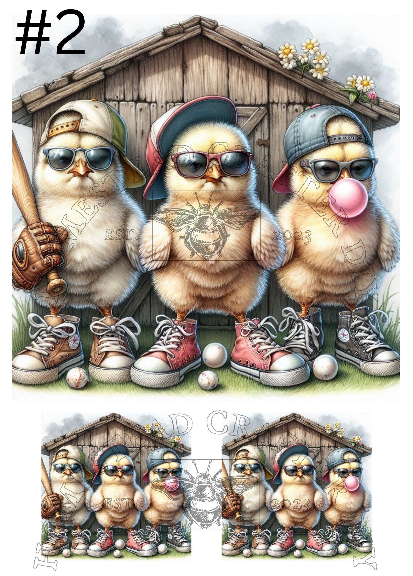 Proud Baseball Chicks - Printed on rice paper