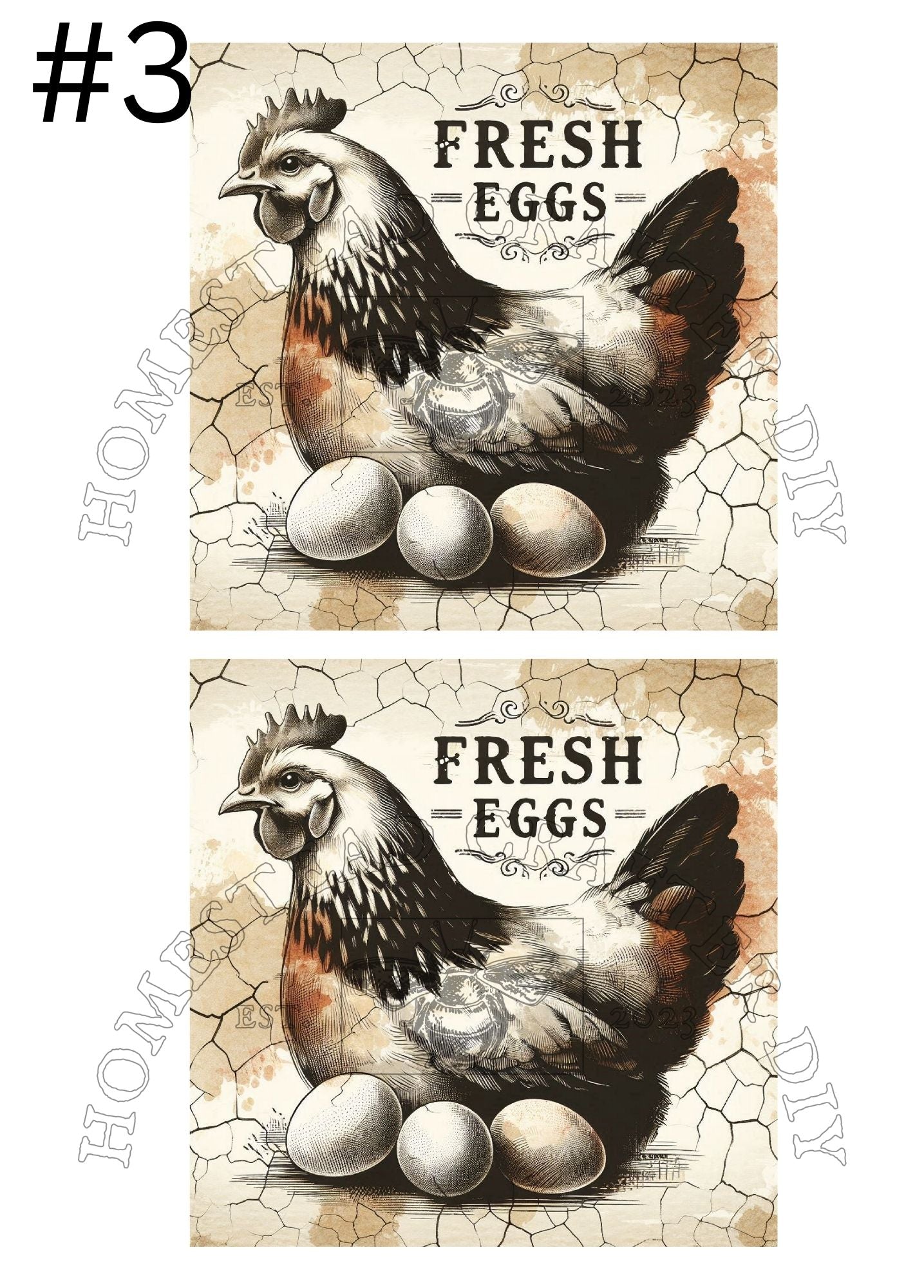 Country Hen 3 Eggs - Printed on rice paper