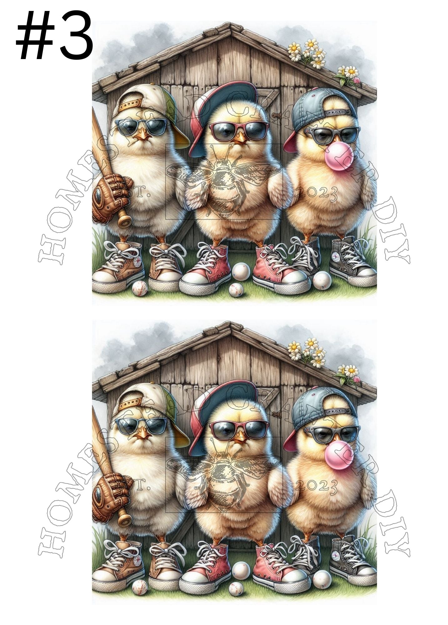 Proud Baseball Chicks - Printed on rice paper