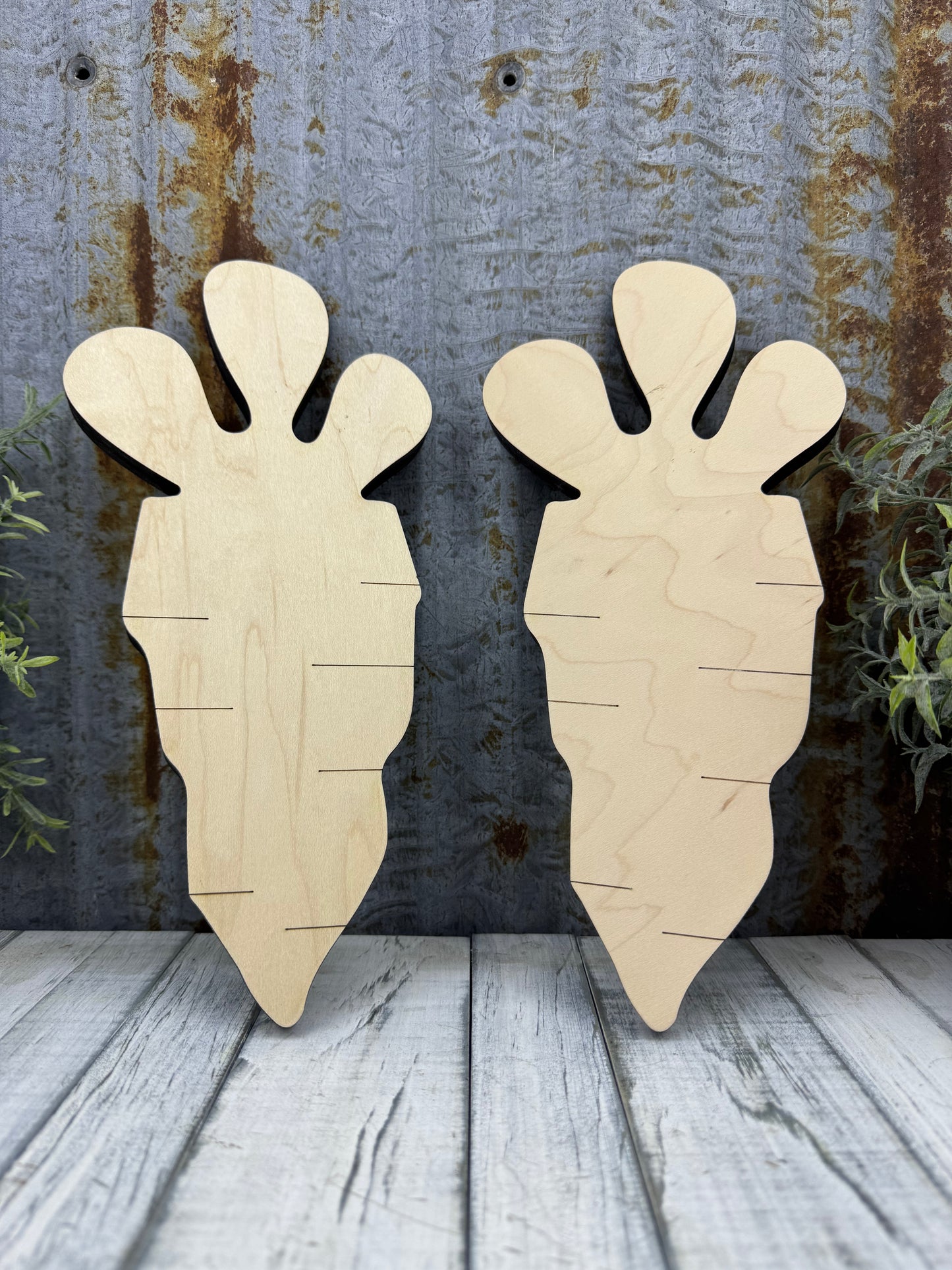Fat Carrot Diy Kit