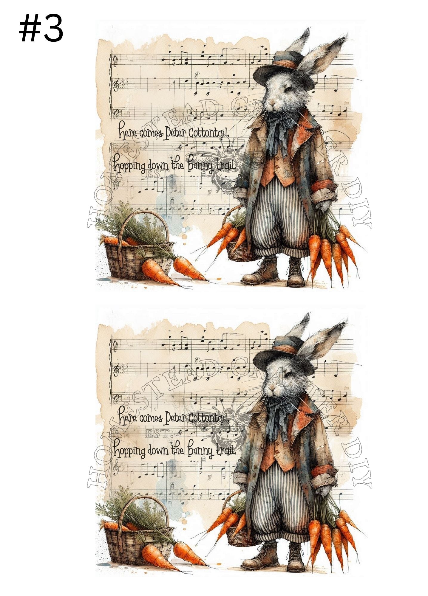 Peter Cotton Tail with Carrots - Printed on rice paper