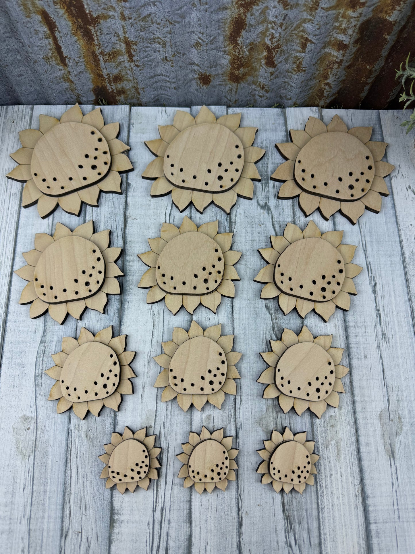 Sunflowers Diy Kit